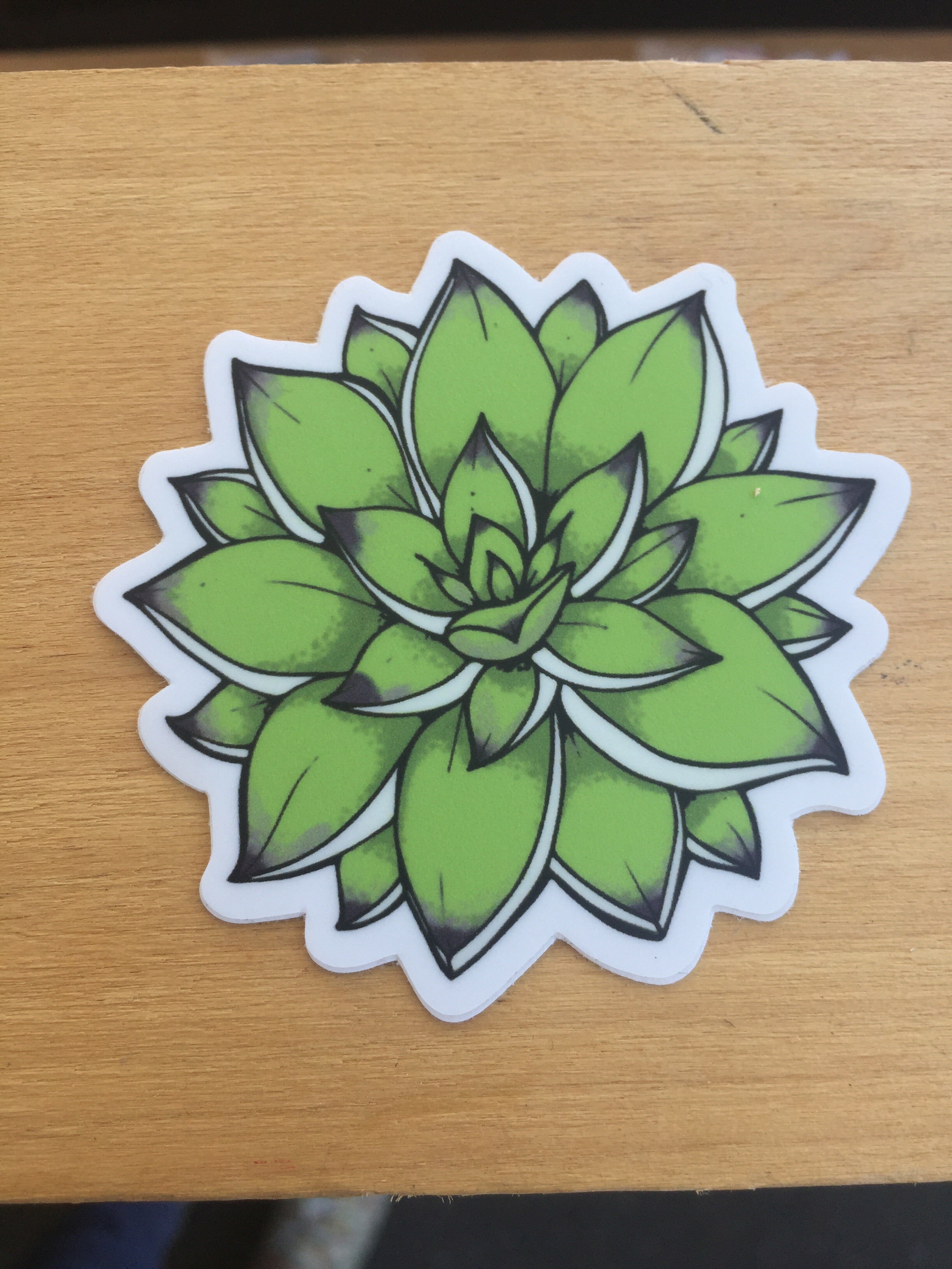 Succulent sticker